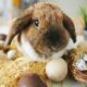 Easter Eggs, Chocolates for Easter, Easter 2023, easter gifts, easter egg hunt,